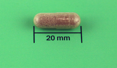 GROENLIPMOSSEL 400MG 60 CAPS
