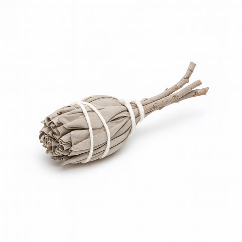 WITTE SALIE MINI STICK