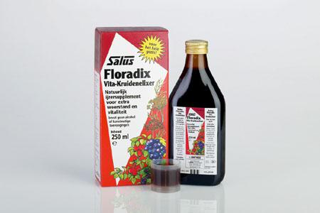 SALUS FLORADIX IJZER-ELIXER 250 ML