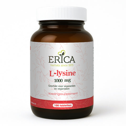 L-LYSINE 1000 MG TABLETTEN 100 ST