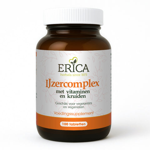 IJZERCOMPLEX MET VIT EN KRUIDEN TABLET 100 ST