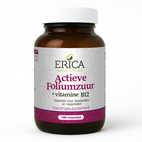FOLIUMZUUR ACTIEF 100 CAPS