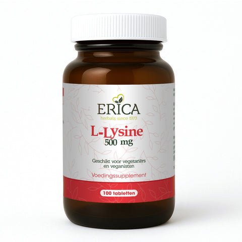 L-LYSINE 500 MG TABLETTEN 100 ST