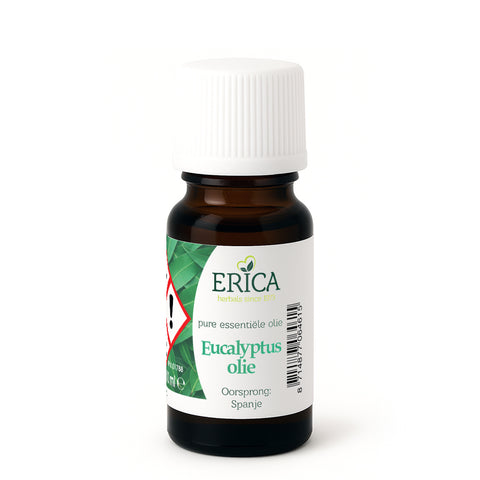 EUCALYPTUS OLIE 10 ML