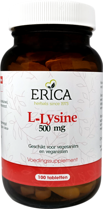 L-LYSINE 500 MG TABLETTEN 100 ST