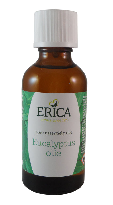 EUCALYPTUS OLIE 50 ML