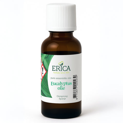 EUCALYPTUS OLIE 50 ML
