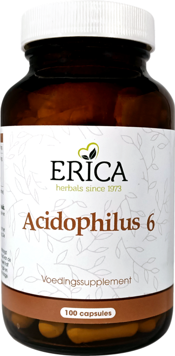 ACIDOPHILUS 6 100 CAPS