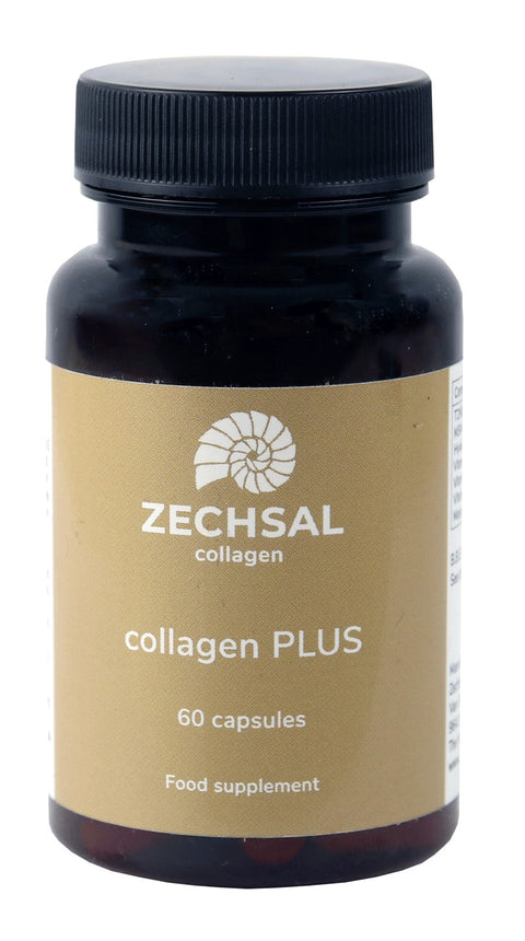 ZECHSAL COLLAGEEN PLUS 60 CAPS