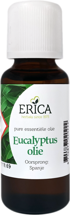 EUCALYPTUS OLIE 25 ML