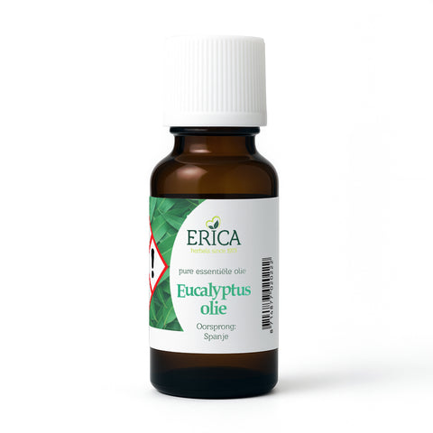 EUCALYPTUS OLIE 25 ML