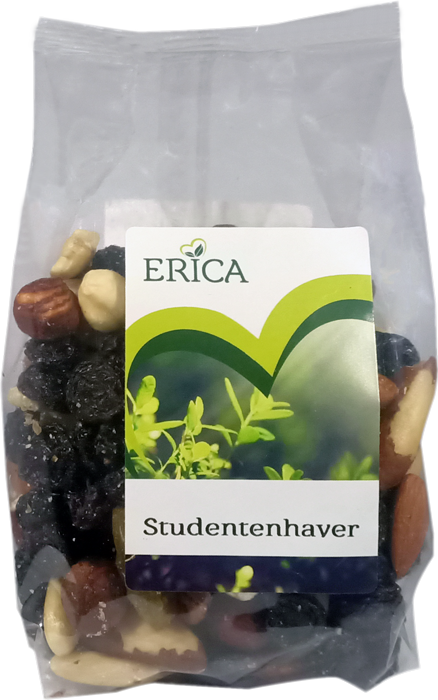 STUDENTENHAVER 210 G