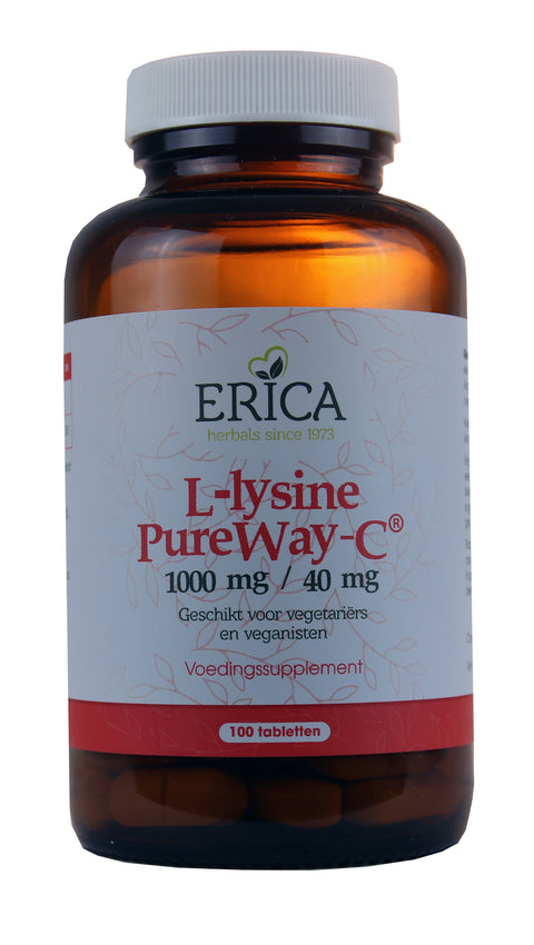 L-LYSINE 1000 MG TABLETTEN 100 ST