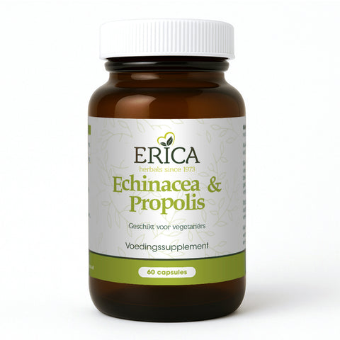 ECHINACEA EN PROPOLIS 60 CAPS